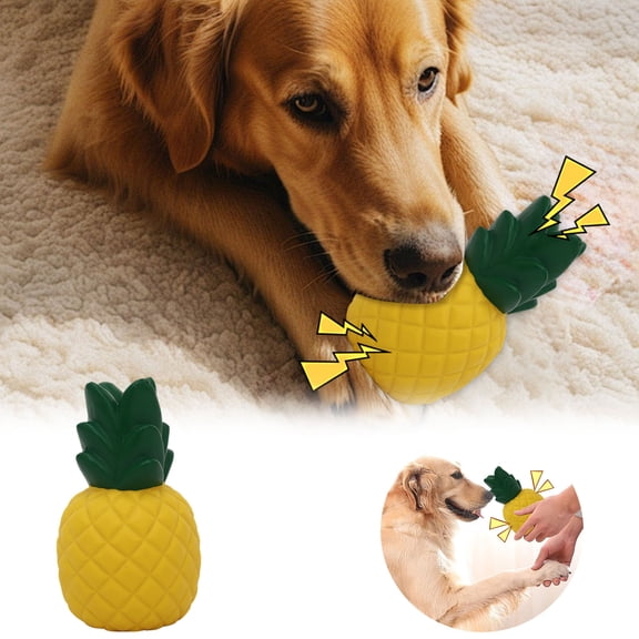 Durable Natural Rubber Squeaky Dog Toy for Interactive Play Chew Teething and Training Game
