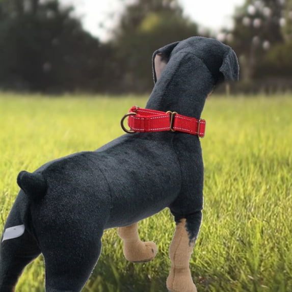 Durable Nylon Dog Collar Reflective Lost Pet Collar with Quick Release Buckle for Outdoor Adventure Training Walking