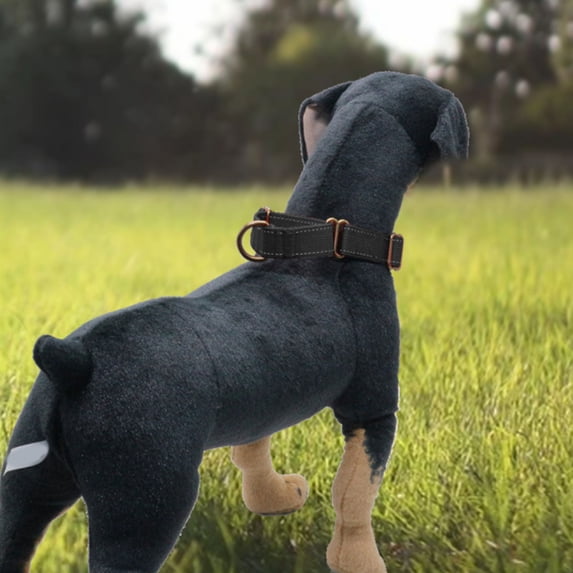 Durable Nylon Dog Collar Reflective Lost Pet Collar with Quick Release Buckle for Outdoor Adventure Training Walking