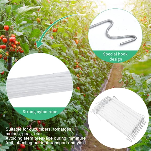 Durable Plant Climbing Hooks, 10Pcs Set for Vine Support, Greenhouse  Garden Use
