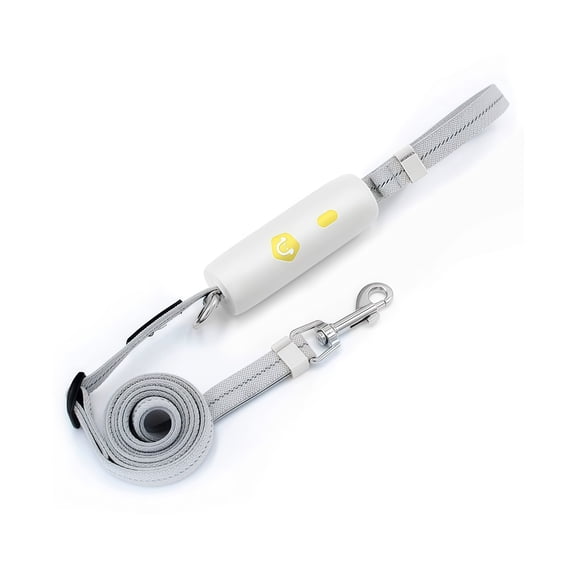 Durable Reflective Leash for Dogs