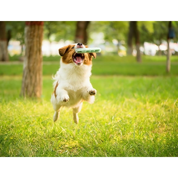 Durable Sausage Stuffable Chew Toy: Dental Care + Teething Relief + Mental Stimulation for All Dogs