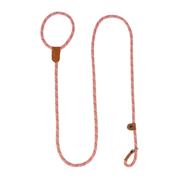 Durable Slip Lead Dog Leash, 6 FT x 3/8