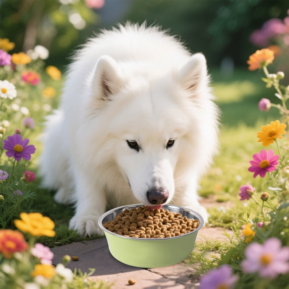 Durable Stainless Steel Pet Bowls - Easy to Clean Metal Food and Water Dishes for Dogs and Cats Ideal for Home and Kennels Feeding
