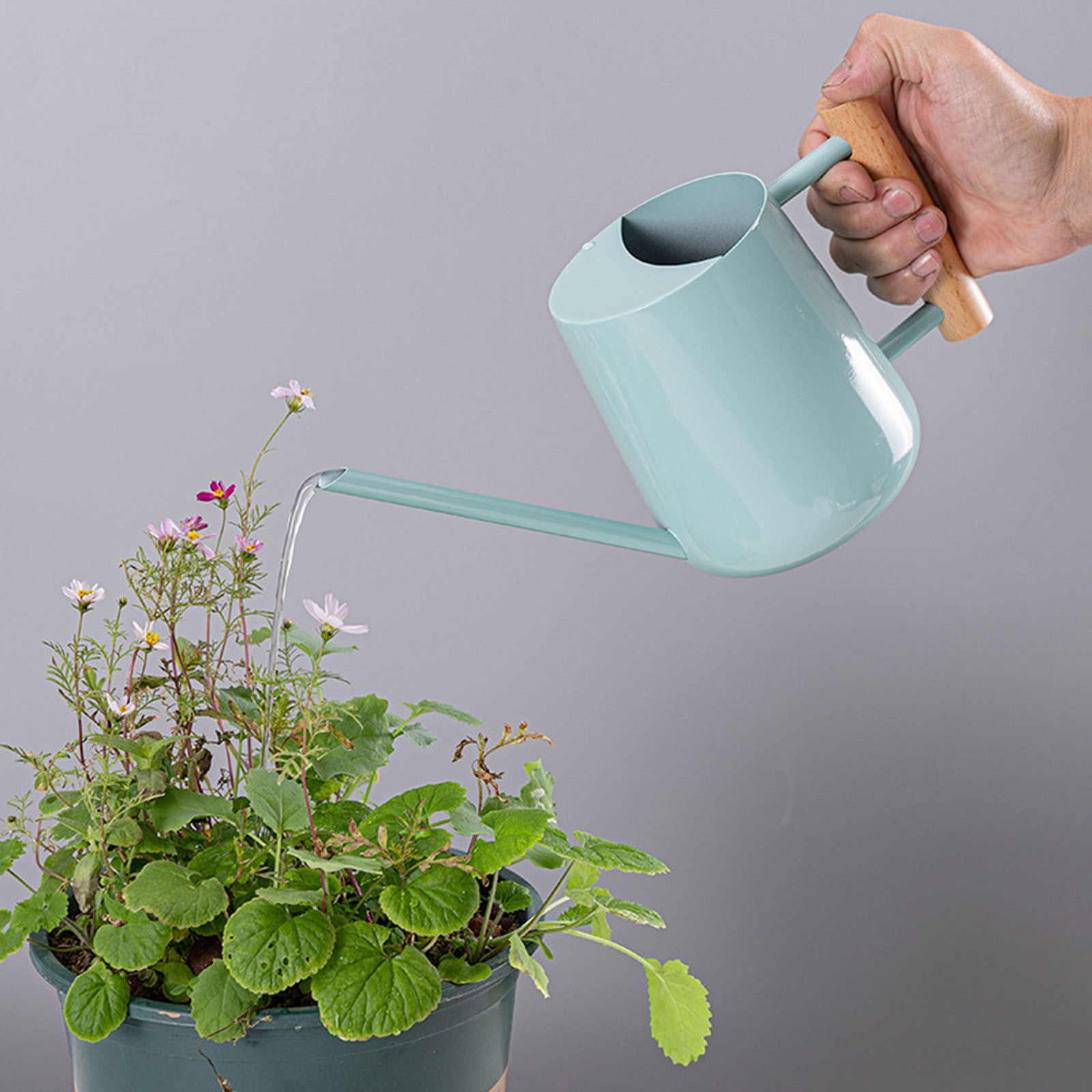 Stainless Steel Watering Can Durable Indoor Watering Pot Long Spout Design for Home Gardening for Indoor Flower Watering and Care