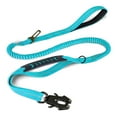 thumbnail image 1 of Durable dog chain explosion-proof flush pet dog rope,sale large dog bungee leash (Sky blue), 1 of 7