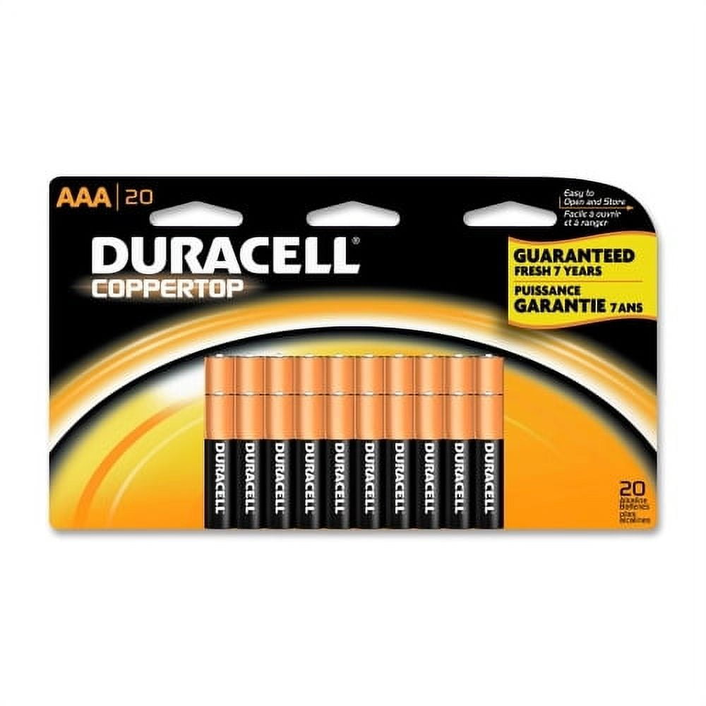 Coppertop Alkaline AAA Battery (10-Pack), Triple A Batteries