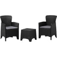 thumbnail image 1 of Duramax Cedarrattan Plastic Sofa Duo Set for Outdoors, Patio, 1 of 3