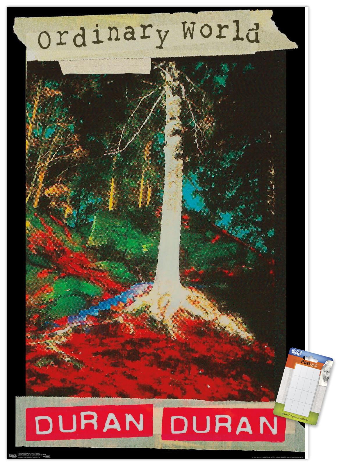 Duran Duran - Ordinary World Wall Poster, 22.375" x 34"