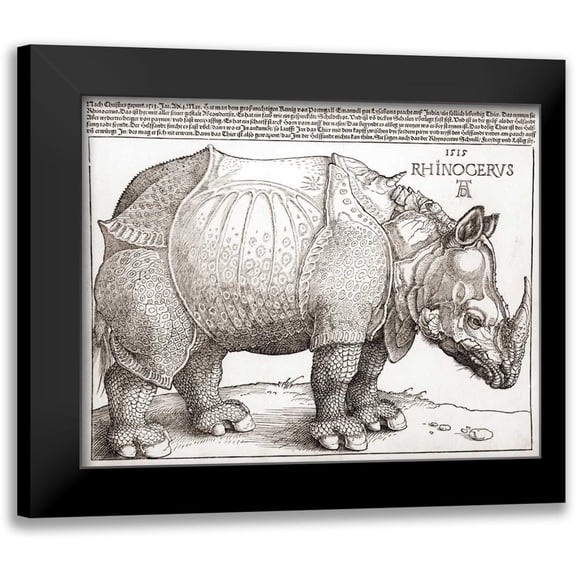 Durer, Albrecht 18x15 Black Modern Framed Museum Art Print Titled - The Rhinoceros