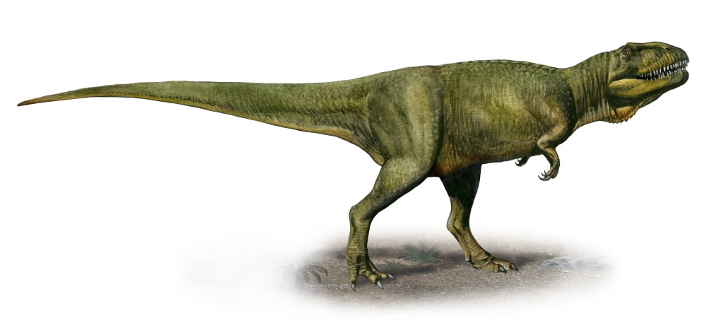 Duriavenator hesperis a prehistoric era dinosaur Canvas Art - Sergey KrasovskiyStocktrek Images (41 x 19)