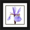 thumbnail image 1 of Durnberger, Sonja 12x12 Black Ornate Wood Framed with Double Matting Museum Art Print Titled - Iris versicolor, 1 of 4
