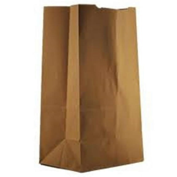 Duro 81187 9.75 x 6.25 x 16.25 in. Recycled Paper Bags Kraft - Case of 500