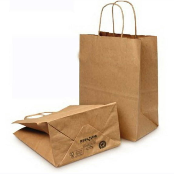 Duro Hilex Poly Bistro White Virgin Paper Shopping Bag with Rope Handle, 10 x 6.75 x 12 inch -- 250 per case.