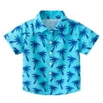 thumbnail image 1 of Durtebeua Toddler Boy Clothes Toddler Boys Girls Short Sleeve Casual Tops Hawaii Beach Holiday Floral Shirts T Shirt Sky Blue,3-4 Years, 1 of 1