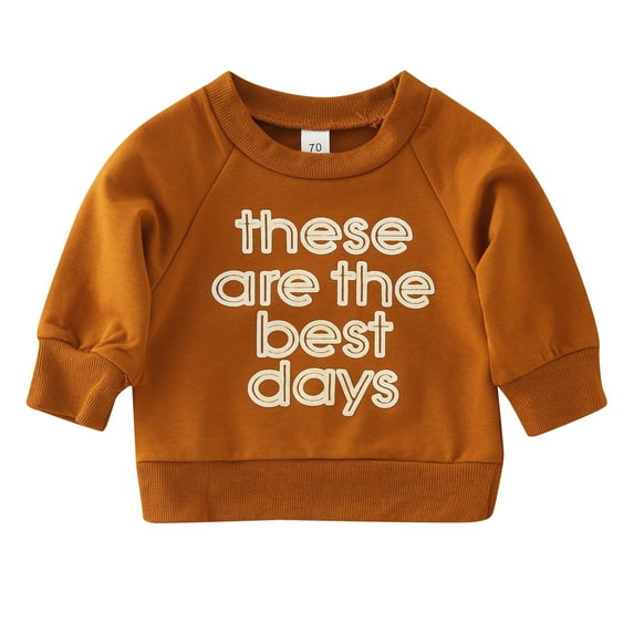 Durtebeua Long Sleeve Crewneck Sweatshirt Pullover Fall Outfit Baby Clothes For Girls 2-3 Years