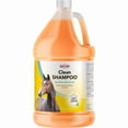 thumbnail image 1 of Durvet Clean Equine Shampoo Gallon, 1 of 2