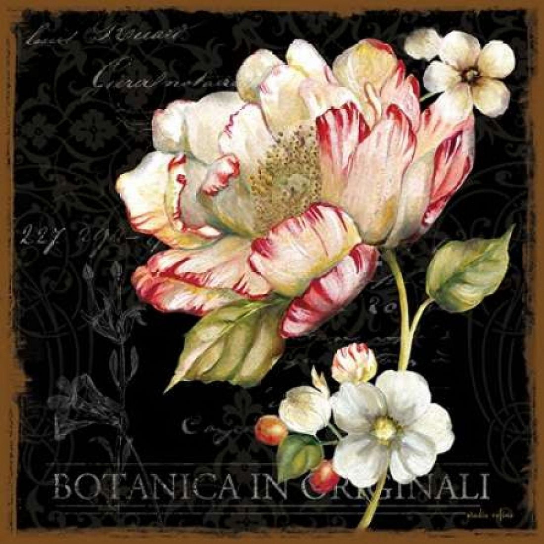 Dusk Flower 2 Canvas Art - Studio Rofino (24 x 24)