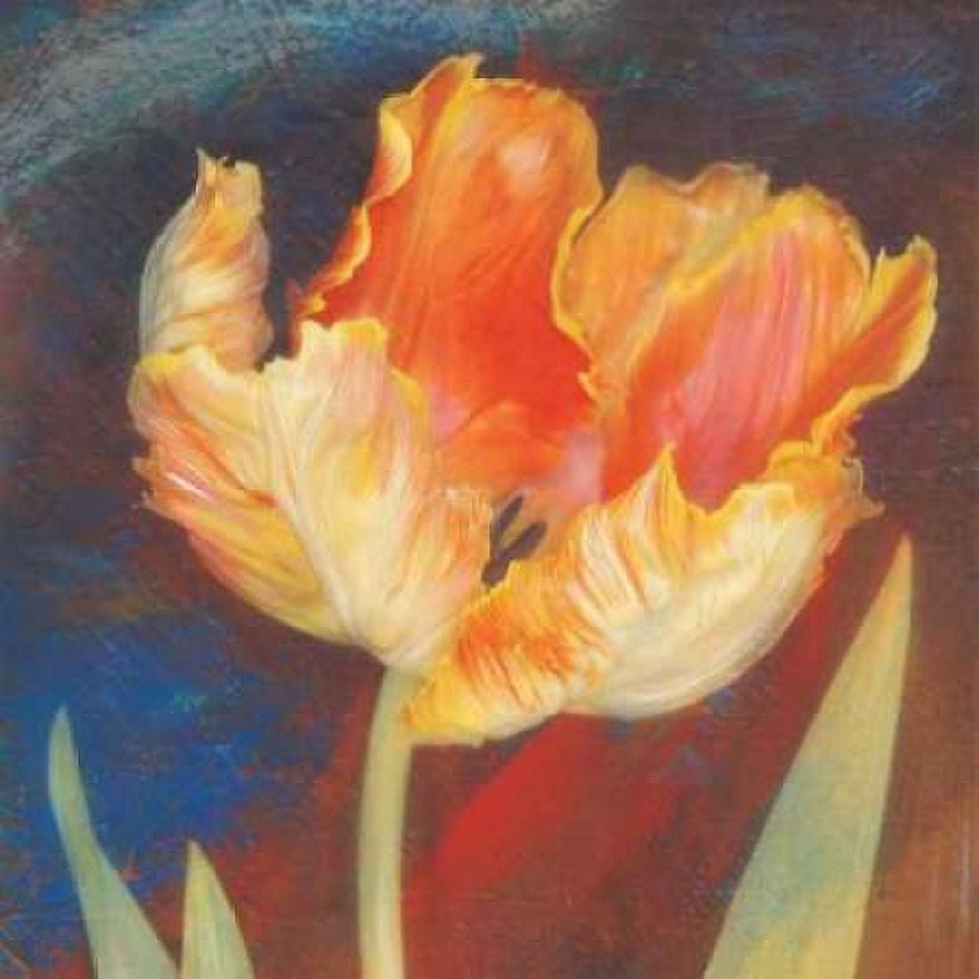 Dusk Tulip I Canvas Art - Amy Melious (24 x 24)