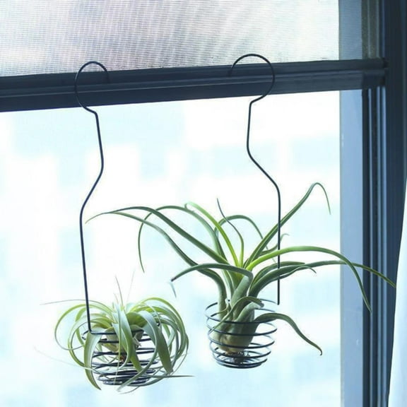 Dusknt Clearance Sale! Air Pineapple Hook Air Plant Hanging Hook Air Plant Display Rack Display Hanger for Air Plant Holder Tillandsia Hanger Modern Hanger Air Plant Hook, 1* Hook Flower Stand