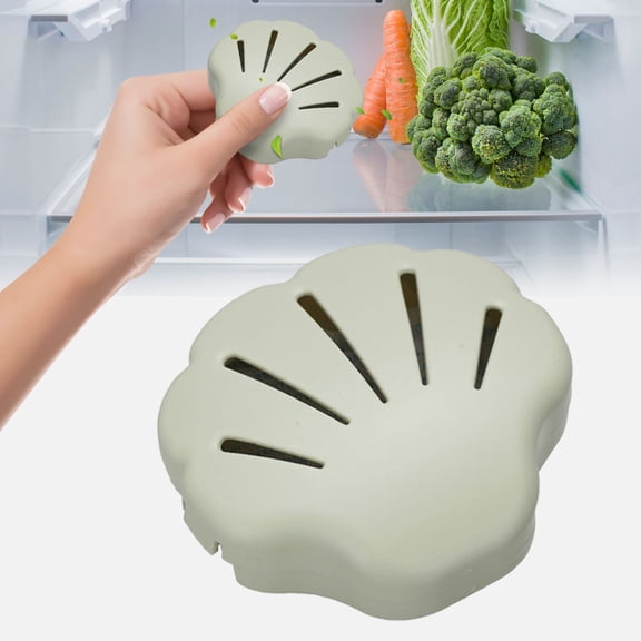 Dusknt Shell Shaped Fridge Deodorizer with Activated Carbon, Reusable Moisture Absorber for Wardrobe and Closet, Ventilated Plastic Box for Shoe Cabinet and Drawer