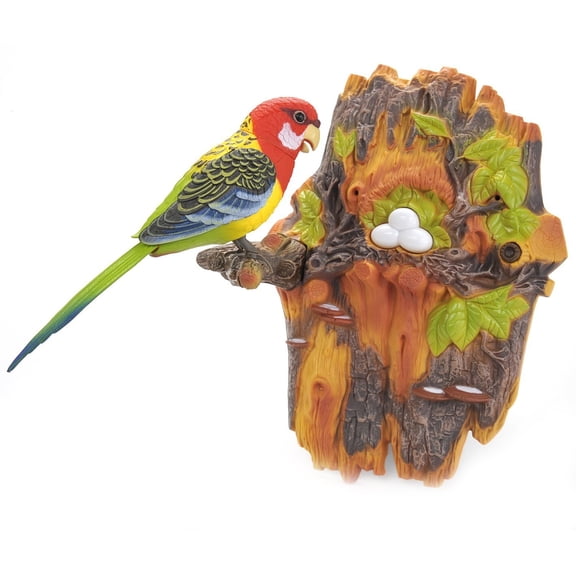 Dusky Shark Singing & Chirping Bird Wall Mount Decor with Realistic Sounds and