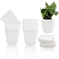 thumbnail image 1 of Duslogis 10 Pcs 3 Inch Plastic Plant Pots,White Square Plastic Planters,Seedling Nursery Pots with Saucer,Flower Plant Pots Indoor Outdoor for Succulents,Flowers,Garden Office and Balcony Decor, 1 of 7