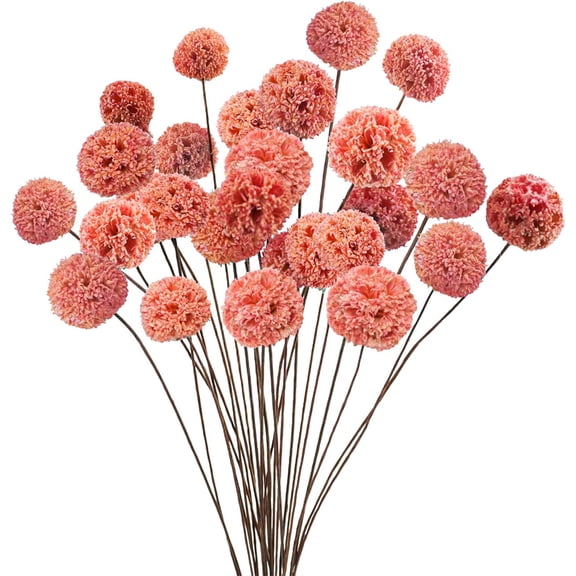 Duslogis 20 PCS Natural Dried Flowers Craspedia Billy Balls Flowers Dried Flowers Bouquet Wildflowers Floral Bouquet Boho Table Decor Dried Flowers for Vase Party DIY Home Decor (Pink)