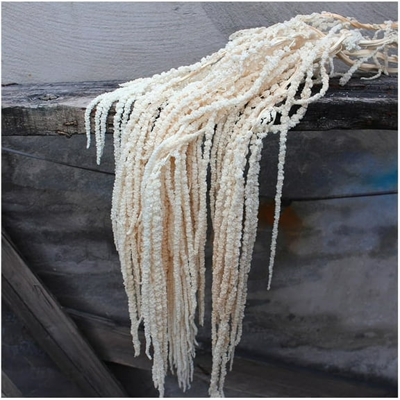 Duslogis 5Pcs Bleached Amaranthus Hanging Flowers - 16''-28'' Dried Preserved White Hanging Wisteria Flowers for Wedding Bouquet, Wall Decoration, Home Decor (White, 5Pcs)