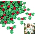 thumbnail image 1 of Duslogis Christmas Holly and Berry Christmas Embellishments, 100 PCS Mini Craft Berry Greens Leaf Sequins, for Christmas Wreath Arrangement DIY Craft for Christmas Card Gift Tags, 1 of 7