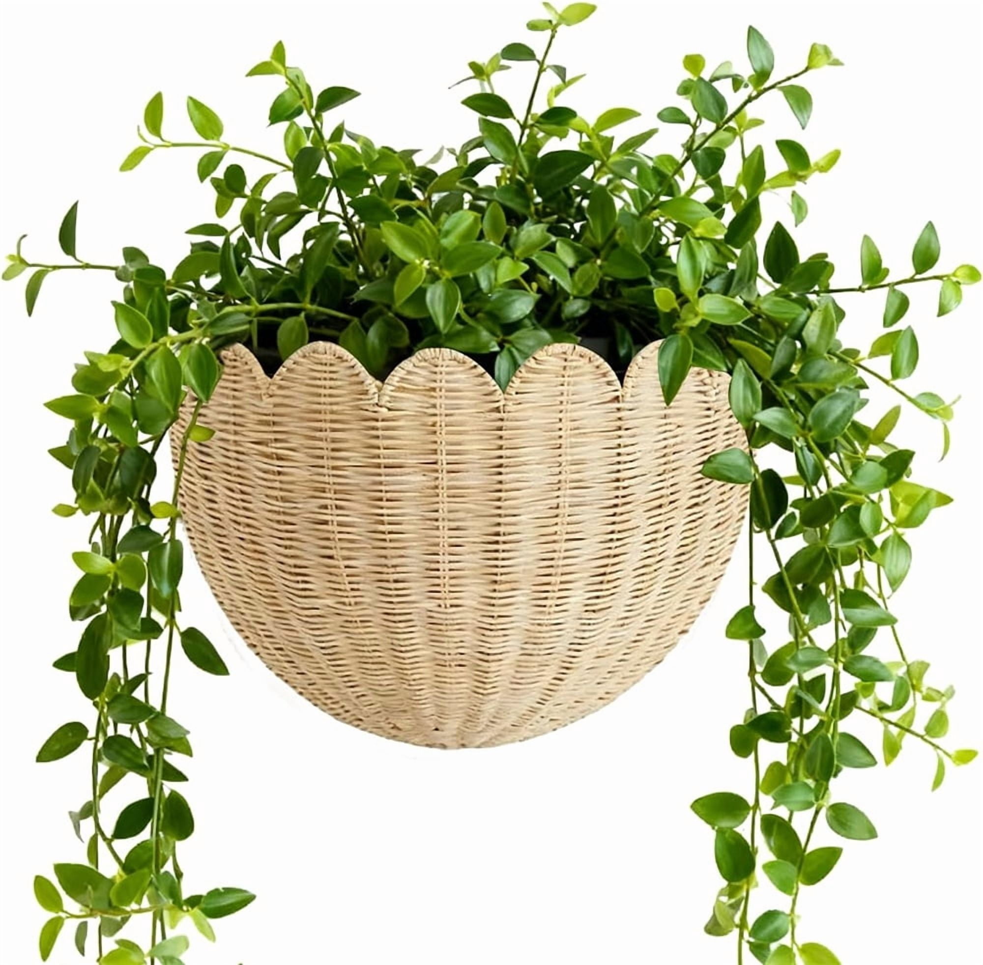 Duslogis Scalloped Wicker Wall Basket - Hand Woven Basket - Scalloped Décor Wall Hanging Baskets -14.2 x 7.8 x 5.7 Inch - Hanging Wall Basket