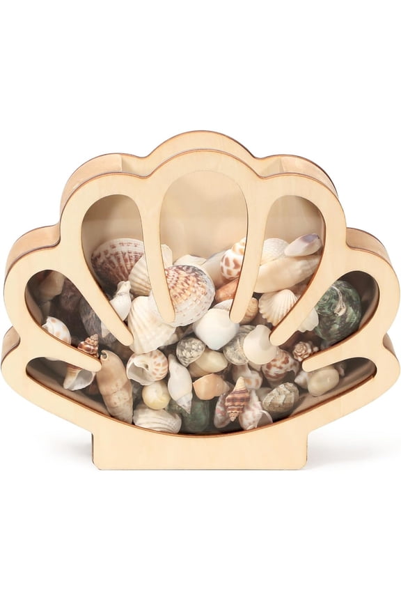 Wooden Seashell Display Case with Acrylic Window, Sea Shell Holder, Sea Glass Shark Tooth Starfish Storage Collection Shadow Box, Memory Keepsake Box, Coastal Home and Room Decor