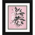 thumbnail image 1 of Dussurgey, Chabal 15x18 Black Ornate Wood Framed with Double Matting Museum Art Print Titled - Dussurgey Ellebore on Pink, 1 of 4