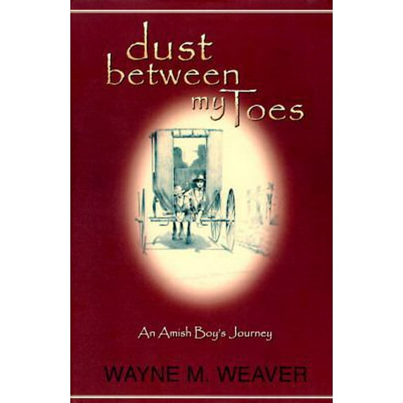 Pre-Owned Dust Between My Toes: An Amish Boy's Journey (Hardcover) 1888683376 9781888683370