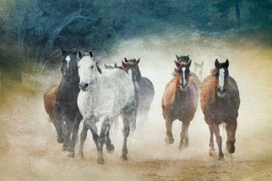Dust Devils Canvas Art - Wendy Caro (12 x 18)