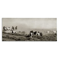 Stupell Industries Dust Up Horse Stampede Canvas Wall Art, design by Danita Delimont, 20 x 48