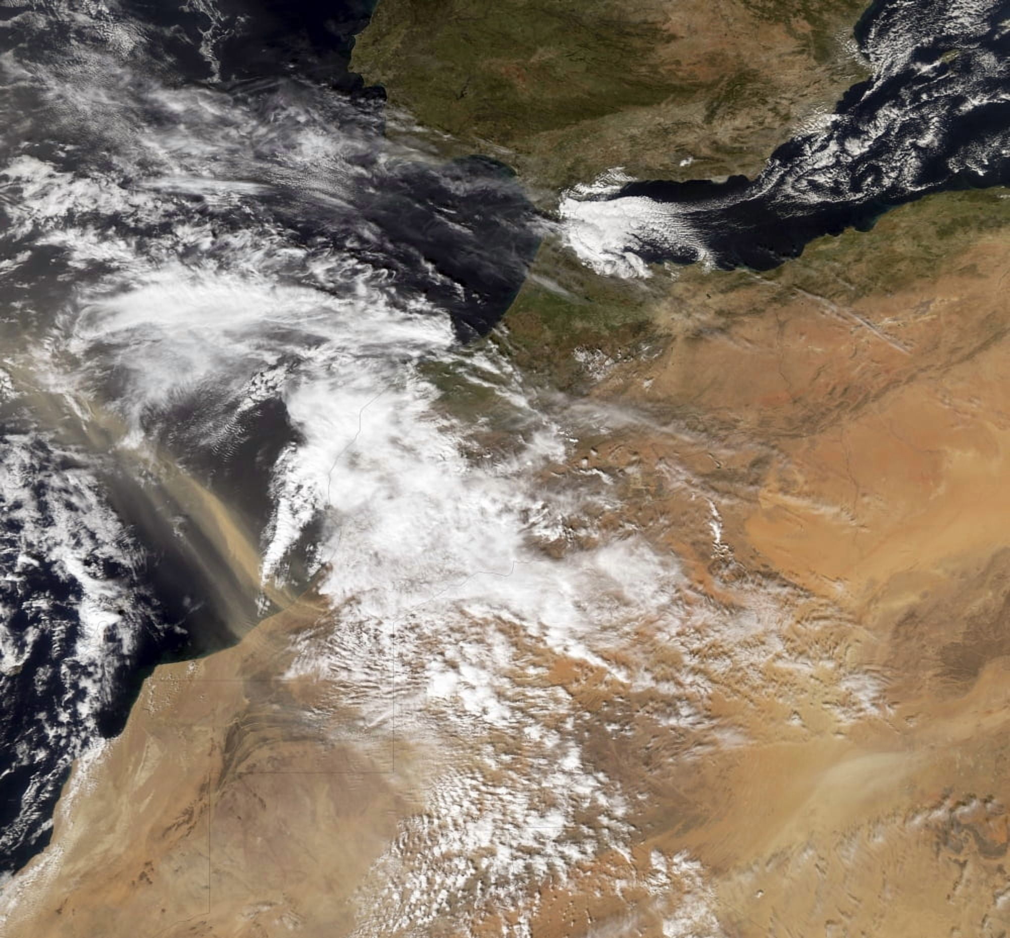 Dust plumes off the Moroccan coast Canvas Art - Stocktrek Images (29 x 27)