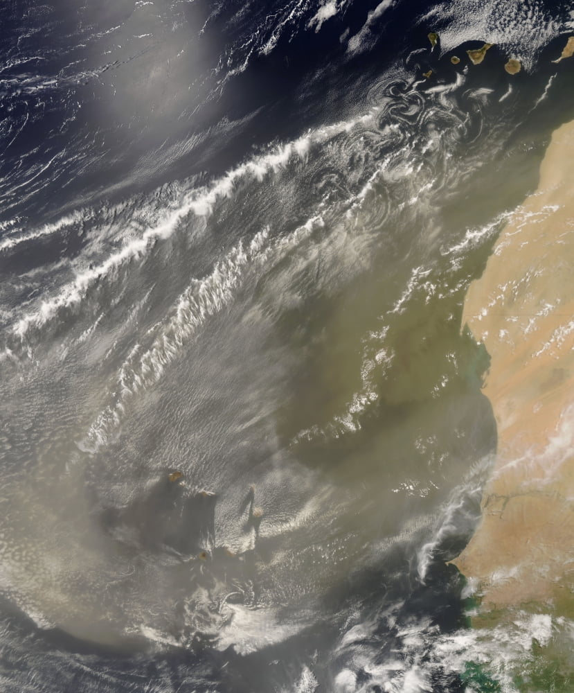 Dust storm off West Africa Canvas Art - Stocktrek Images (26 x 31)