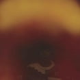 thumbnail image 1 of Dustin Wong - Mediation of Ecstatic Energy - Rock - Vinyl, 1 of 1