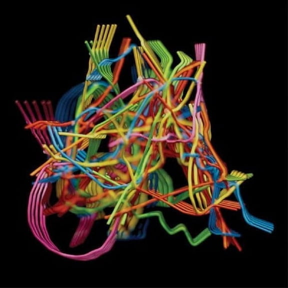 Dustin Wong - Perpetual Morphosis - Music & Performance - CD