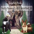 thumbnail image 1 of Dusty Bunny's Very Important Job, (Paperback), 1 of 1
