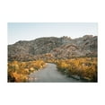 thumbnail image 1 of Dusty Road, Joshua Tree 02 - California Photography Unframed Wall Art Print 24 x 36 inches, 1 of 7