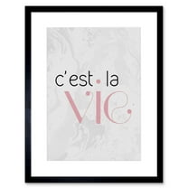 Dusty Rose Cest La Vie Framed Wall Art Print