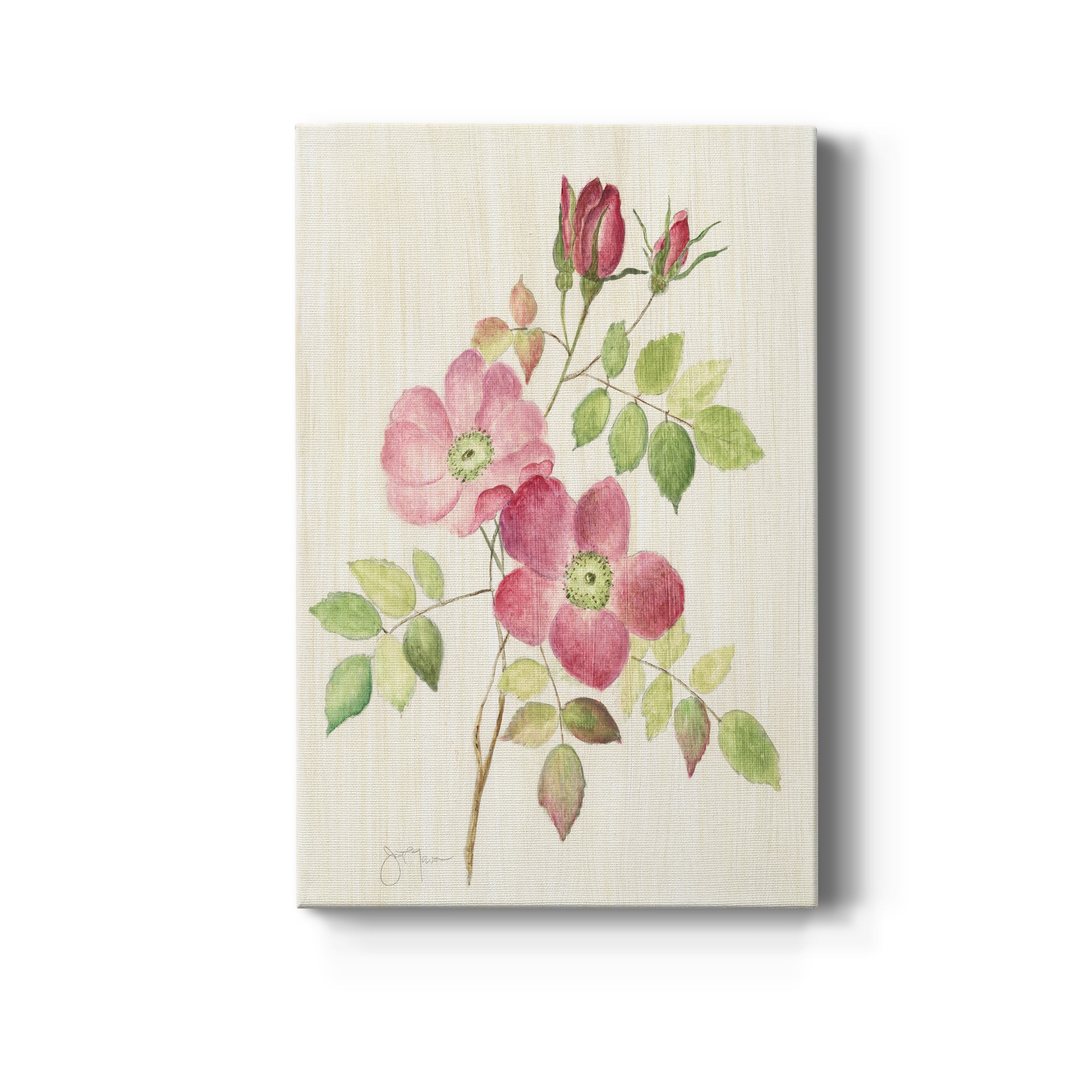Dusty Rose I Premium Gallery Wrapped Canvas - Ready to Hang - 24 x 36
