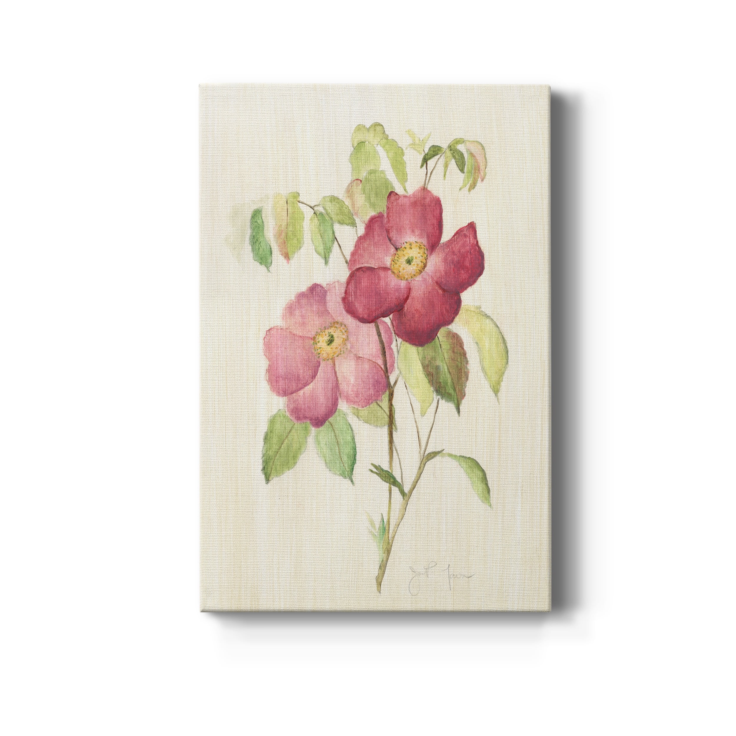 Dusty Rose II Premium Gallery Wrapped Canvas - Ready to Hang - 24 x 36