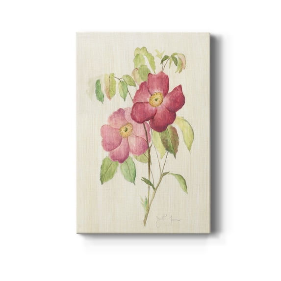Dusty Rose II Premium Gallery Wrapped Canvas - Ready to Hang - 40 x 60