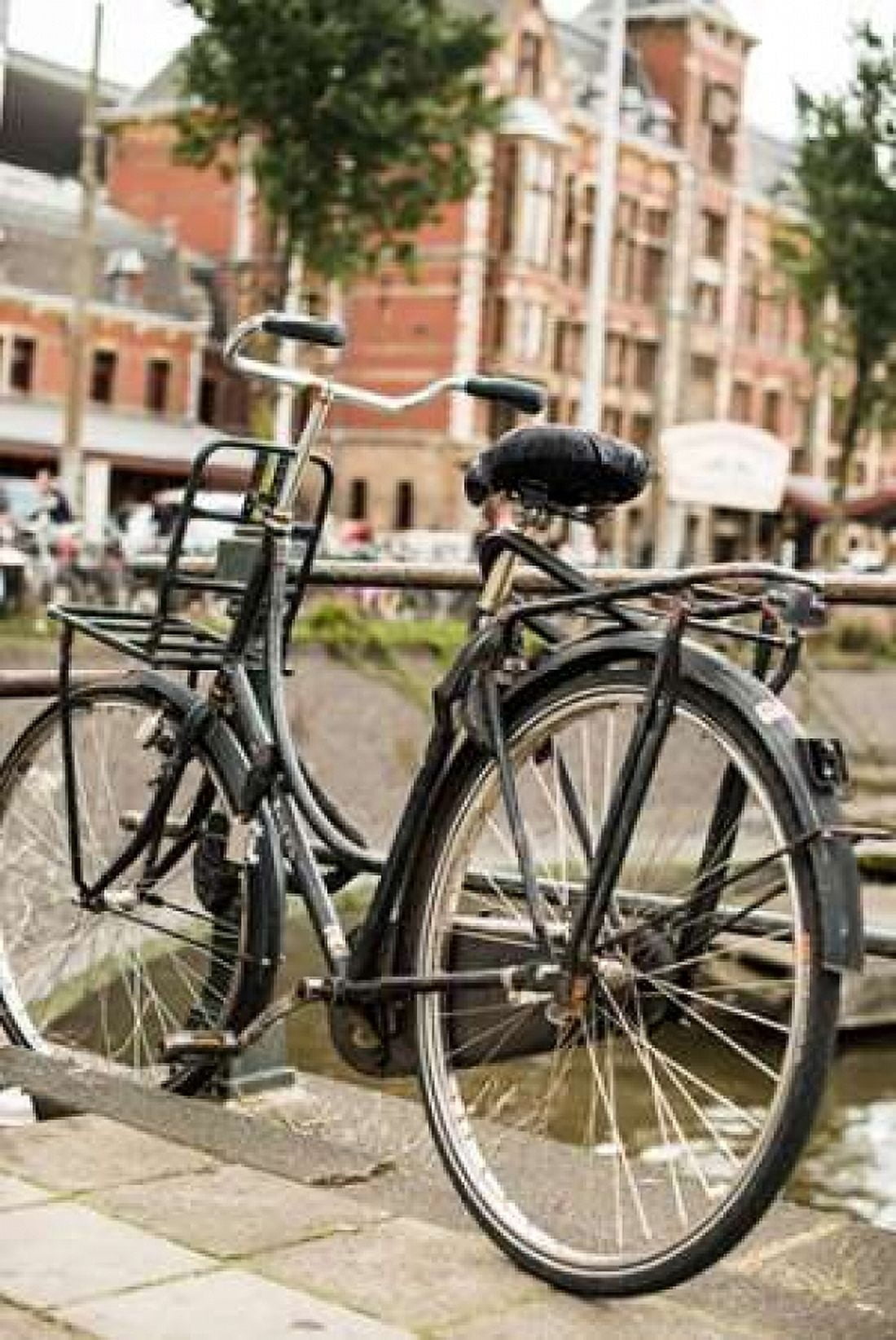 Dutch Bike Canvas Art - Erin Berzel (12 x 18)