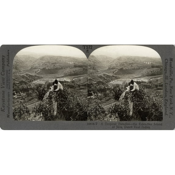 Dutch East Indies, C1920. /N'A Tropical Paradise - The Eden-Like Island Of Java, Dutch East Indies.' Stereograph, C1920. Poster Print by (18 x 24)