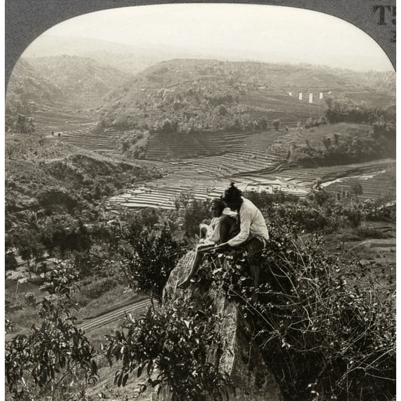 Dutch East Indies C1920. N'A Tropical Paradise - The Eden-Like Island Of Java Dutch East Indies.' Stereograph C1920.