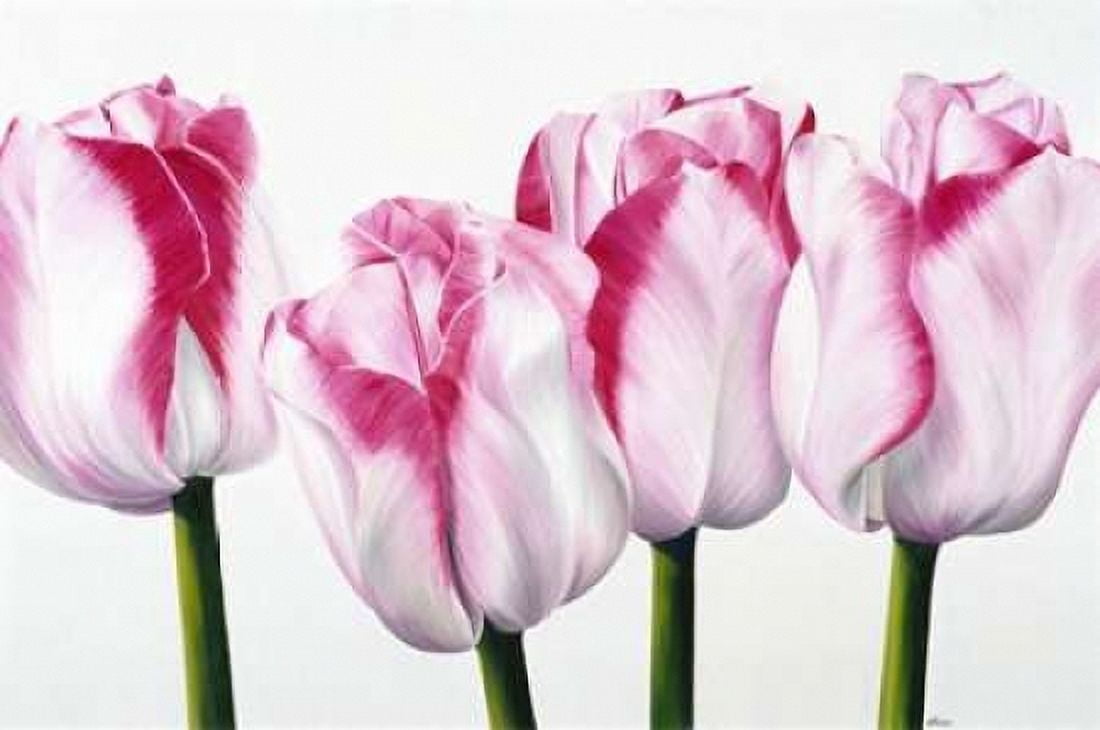 Dutch I Canvas Art - Yvonne Poelstra-Holzhaus (12 x 18)
